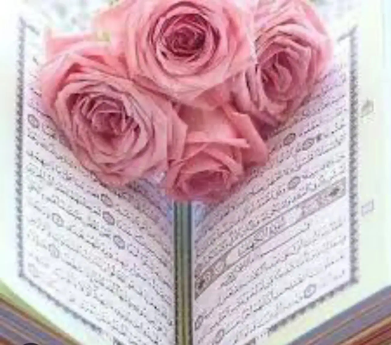 کتب سرکتاب طالع بینی توسط استاد تضمینی|کتاب و مجله مذهبی|شیراز, حافظیه|دیوار
