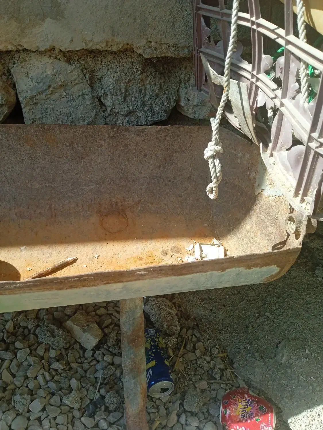 علف خوری سالم|لوازم جانبی حیوانات|دهدشت, |دیوار