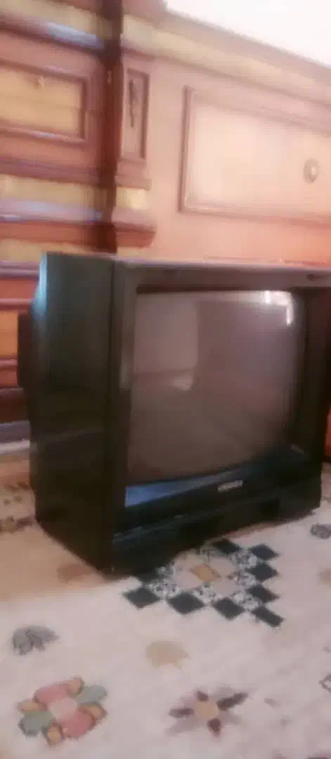 تلویزیون ۲۱ اینچ شهاب|تلویزیون و پروژکتور|سهند, |دیوار