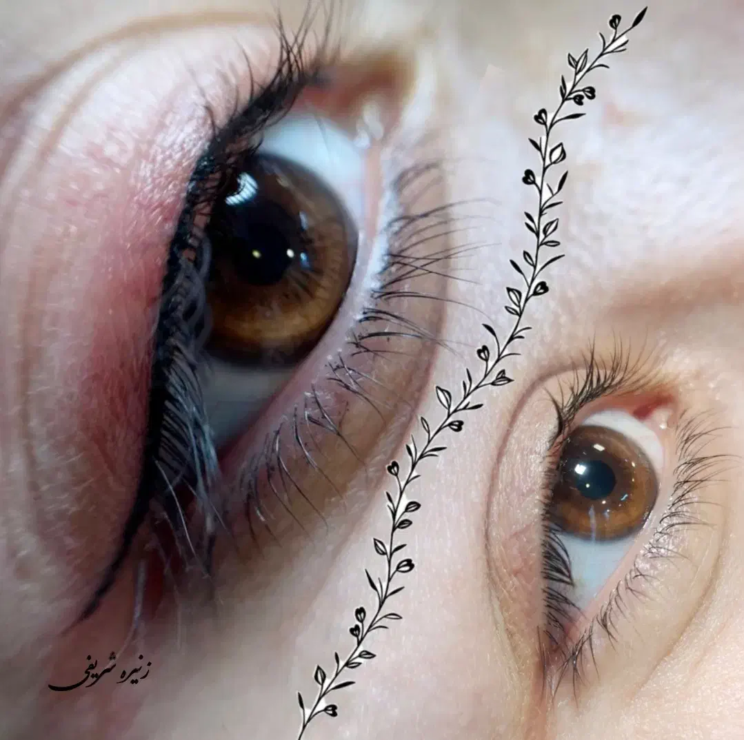 میکرو ابرو ،ریموو ،شیدینگ،خط چشم و بن مژه|خدمات آرایشگری و زیبایی|تهران, الهیه|دیوار