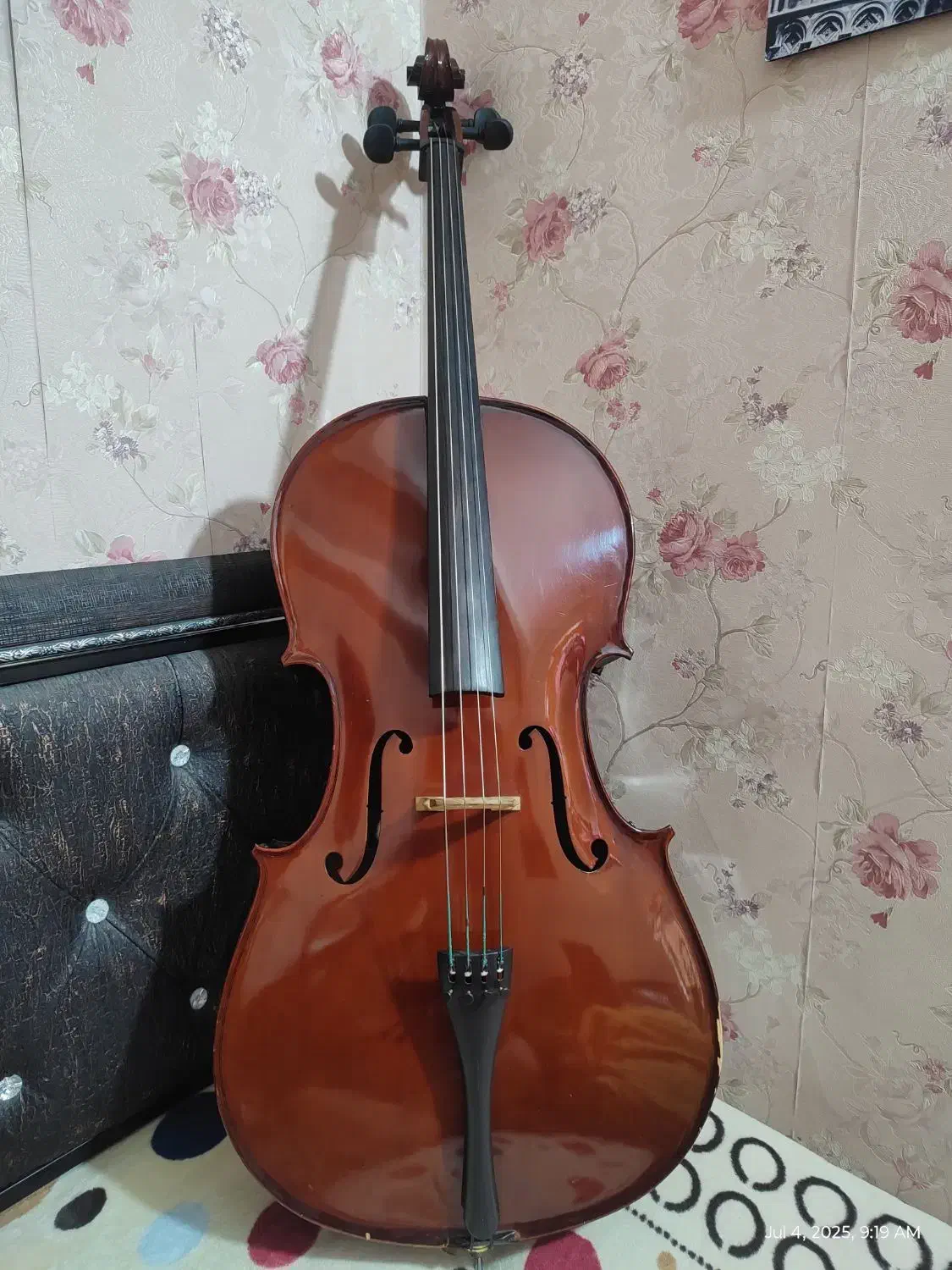 ویولنسل هافنر C-045 سایز 4/4|ویولن|شیراز, کاراندیش|دیوار