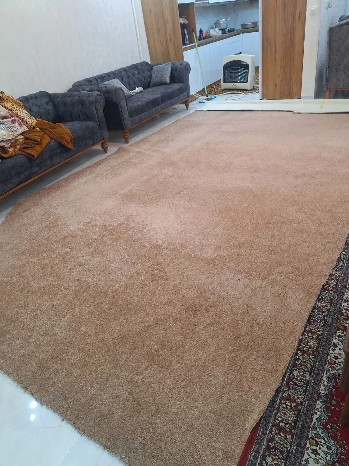 موکت پالاز|موکت|شاهینشهر, عطار|دیوار