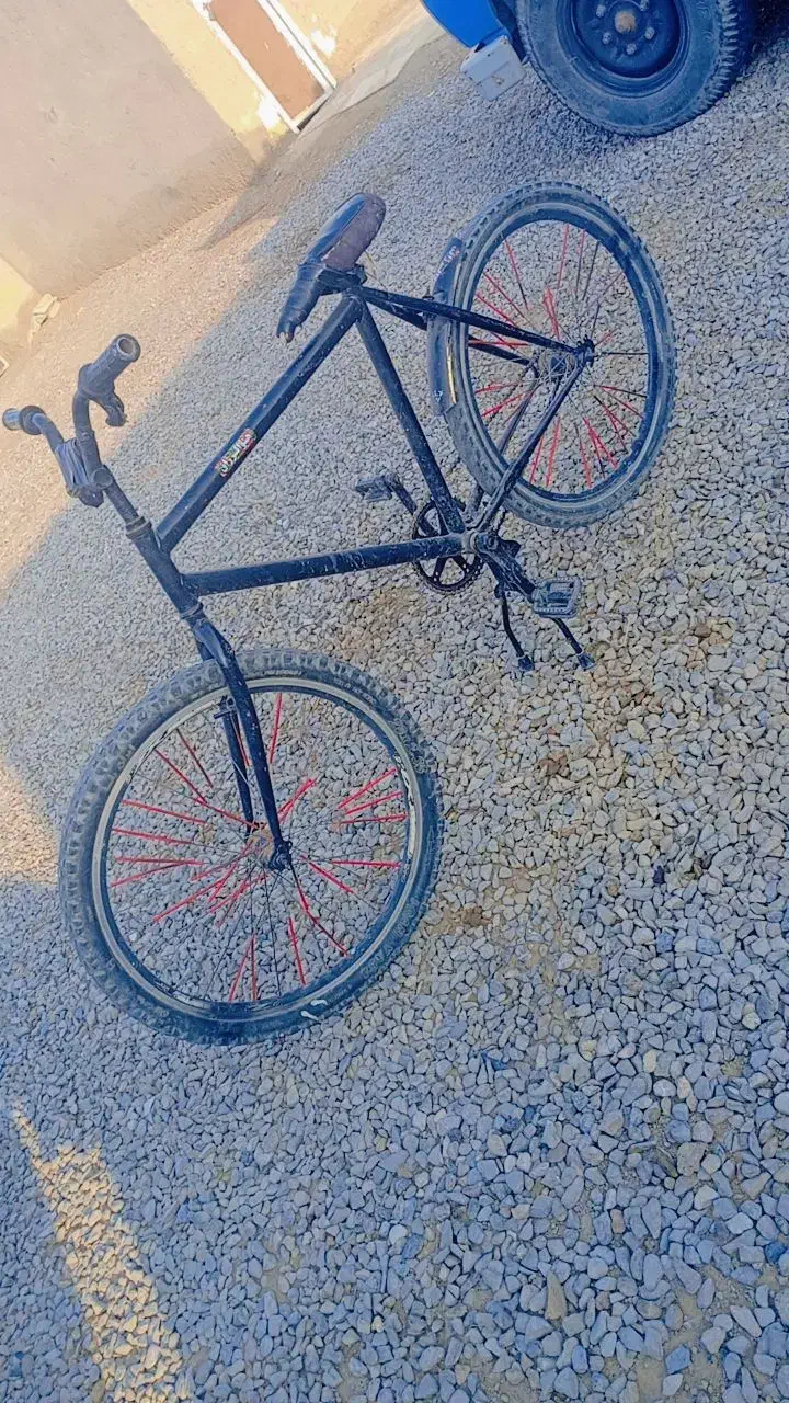 دوچرخه|دوچرخه، اسکیت، اسکوتر|نیمروز, |دیوار