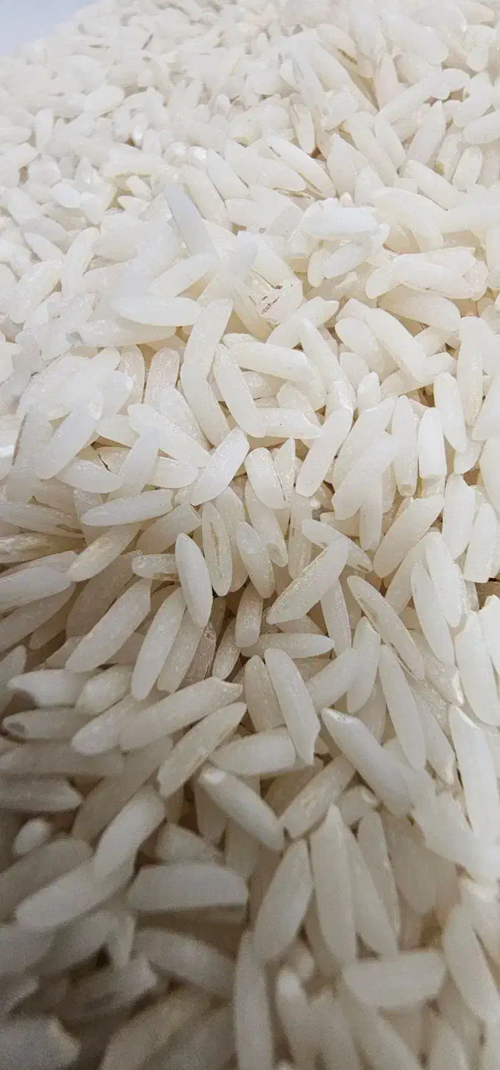 برنج هاشمی|خوردنی و آشامیدنی|رشت, نخودچر|دیوار