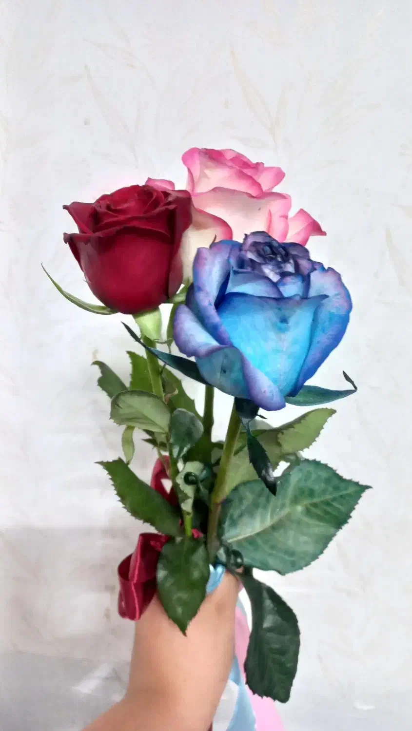 انواع لباس خواب فانتزی|لباس|دامغان, |دیوار