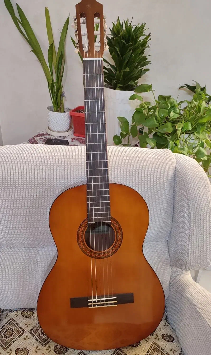 فروش گیتار C40 یاماها اصل ساخت اندونزی|گیتار، بیس، امپلیفایر|بندرعباس, |دیوار