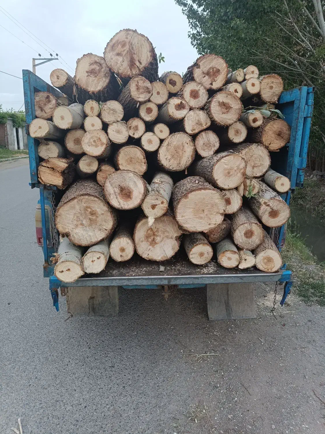 خرید و برش انواع چوب|خدمات باغبانی و درختکاری|نقده, |دیوار