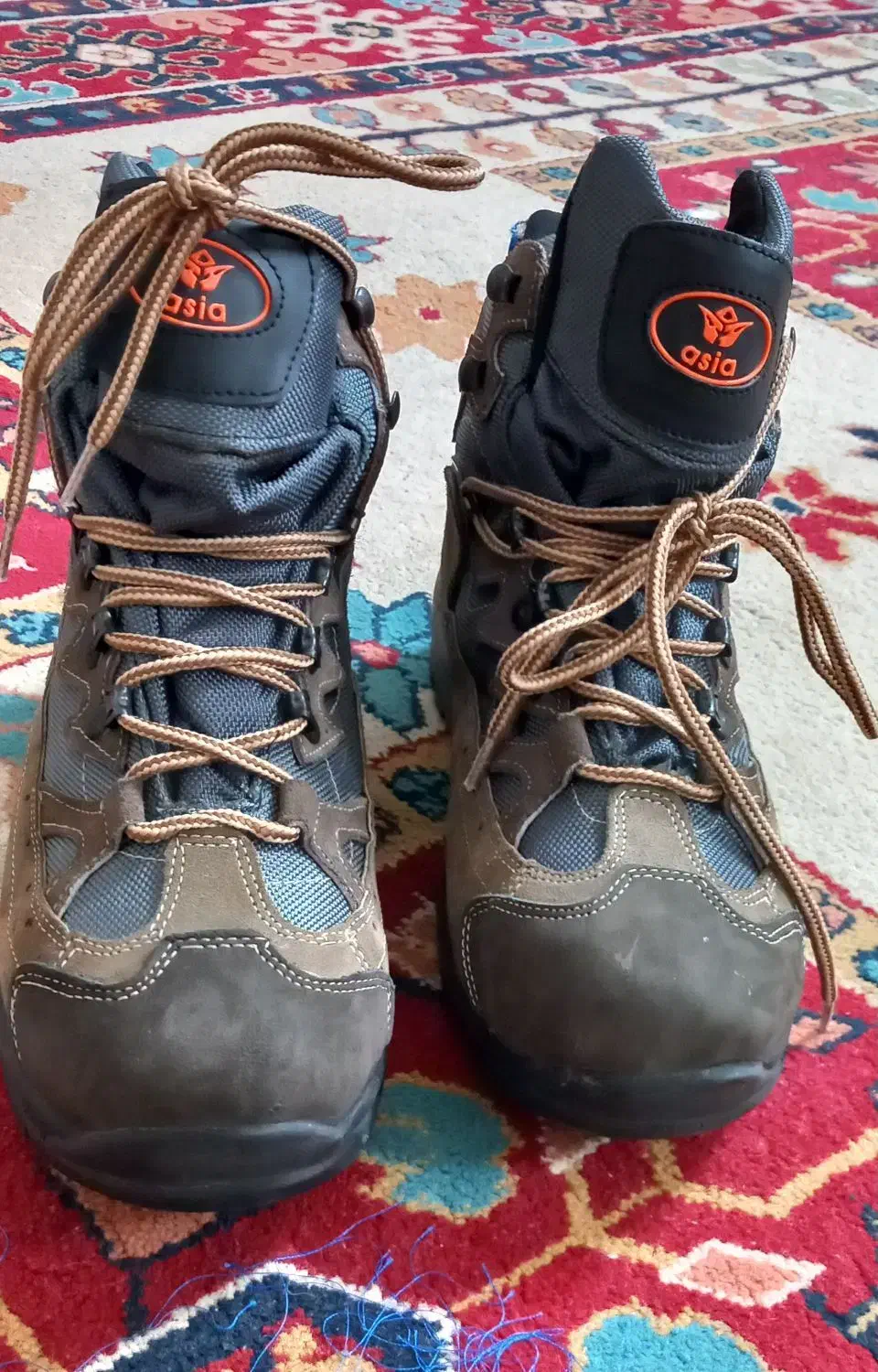 کفش|کوهنوردی و کمپینگ|مشهد, مقدم|دیوار