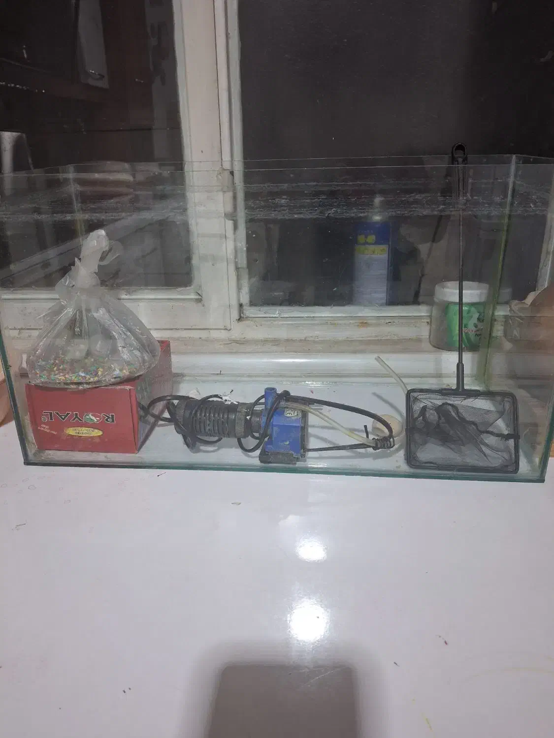 آکواریوم سایزمتوسط|ماهی|مشهد, فریزی|دیوار