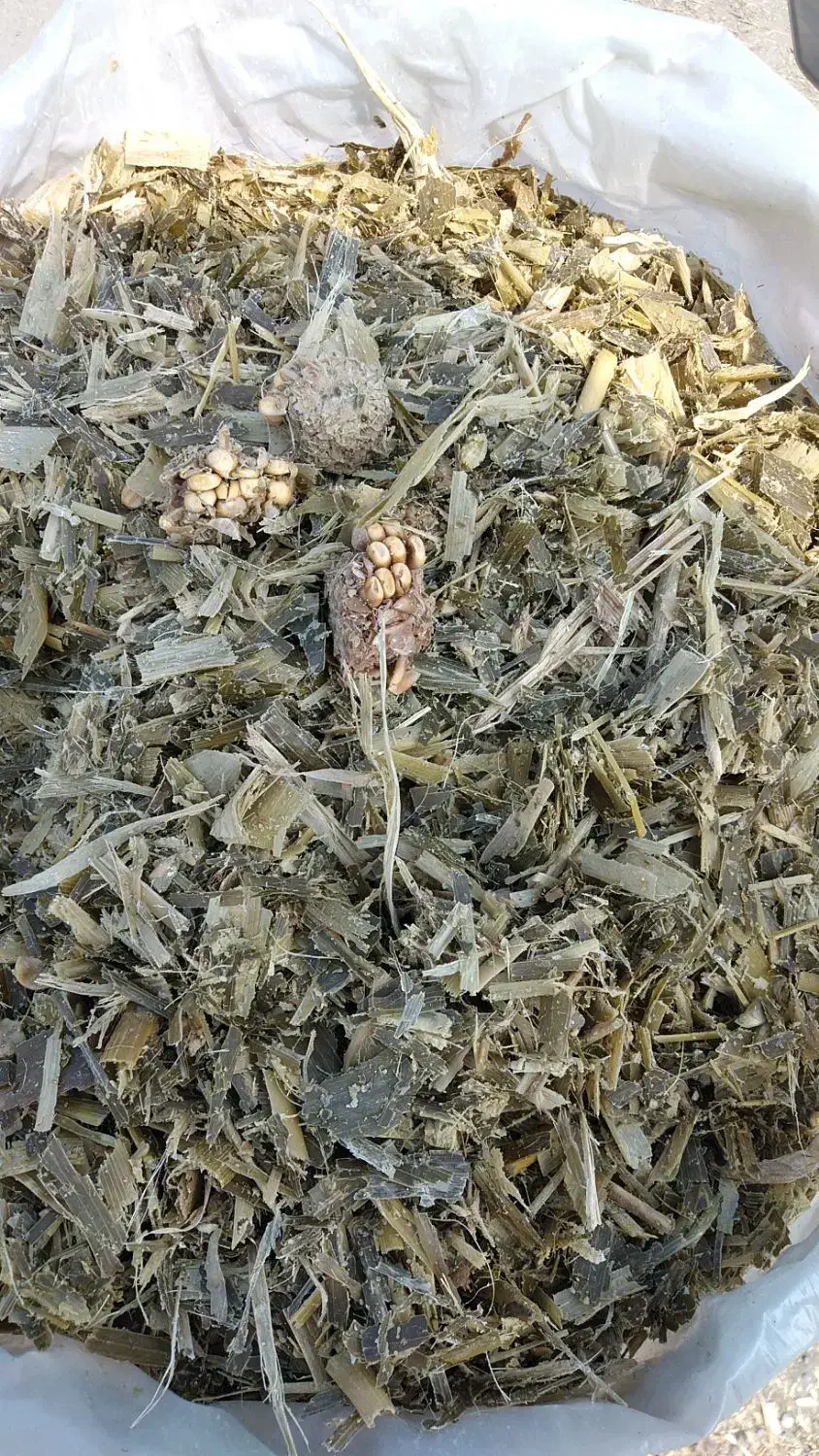 فروش سیلو درجه یک|حیوانات مزرعه|رشت, شهرک قدس|دیوار