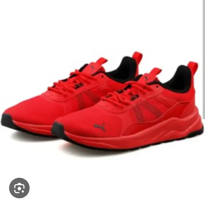 کتانی پوما سایز 40.5|کیف، کفش، کمربند|قم, شهر قائم|دیوار