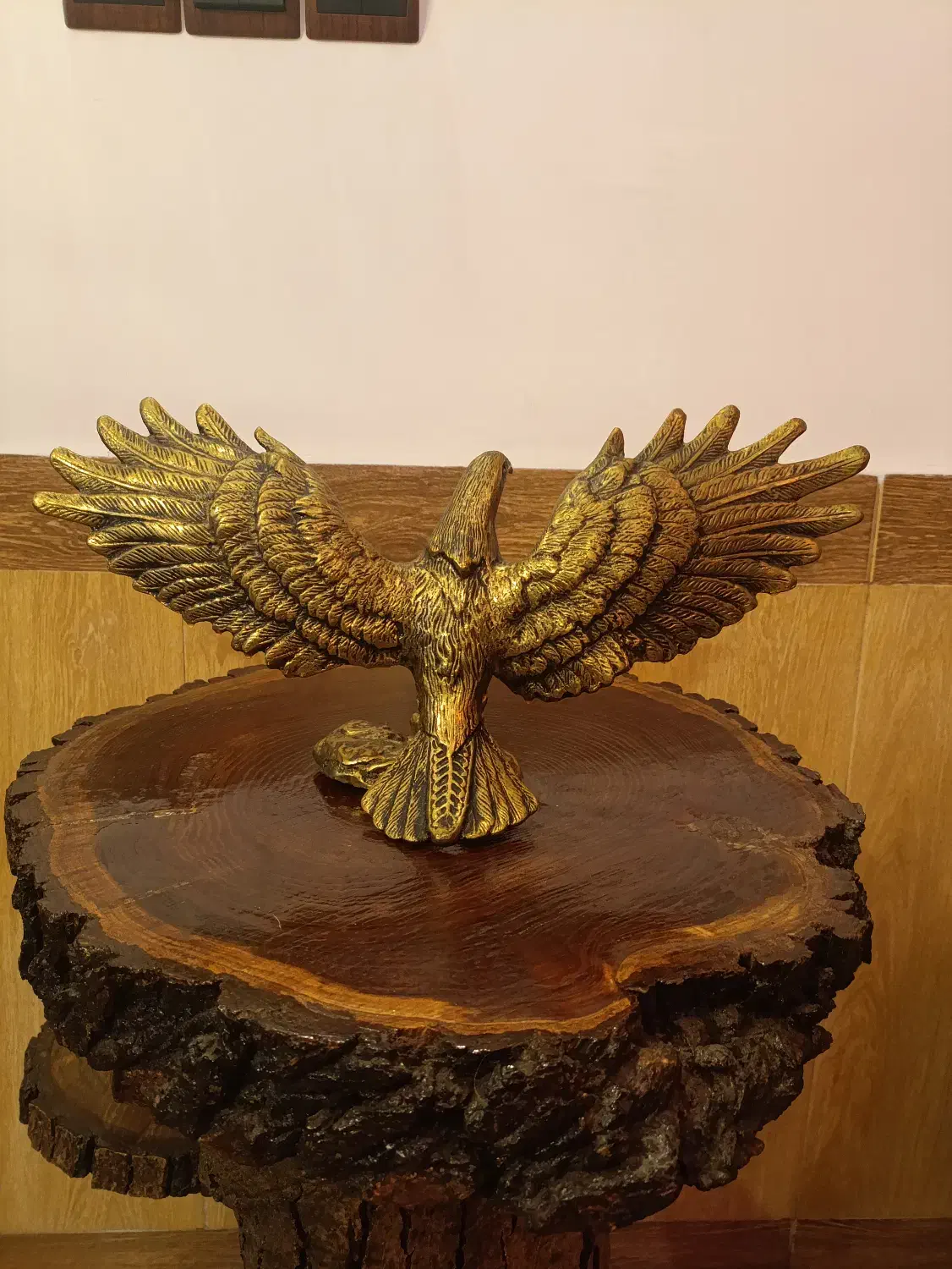 فروش عقاب برنجی برنزی|کلکسیون اشیاء عتیقه|بهشهر, |دیوار