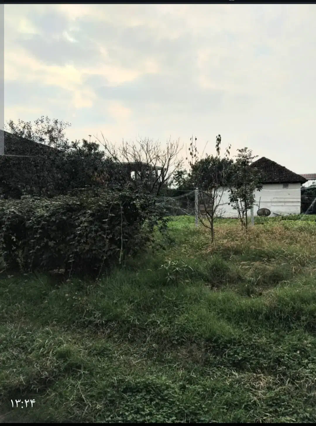 فروش زمین و خانه کلنگی با ۲۰۰نهال کیوی خونی|فروش خانه و ویلا|حویق, |دیوار