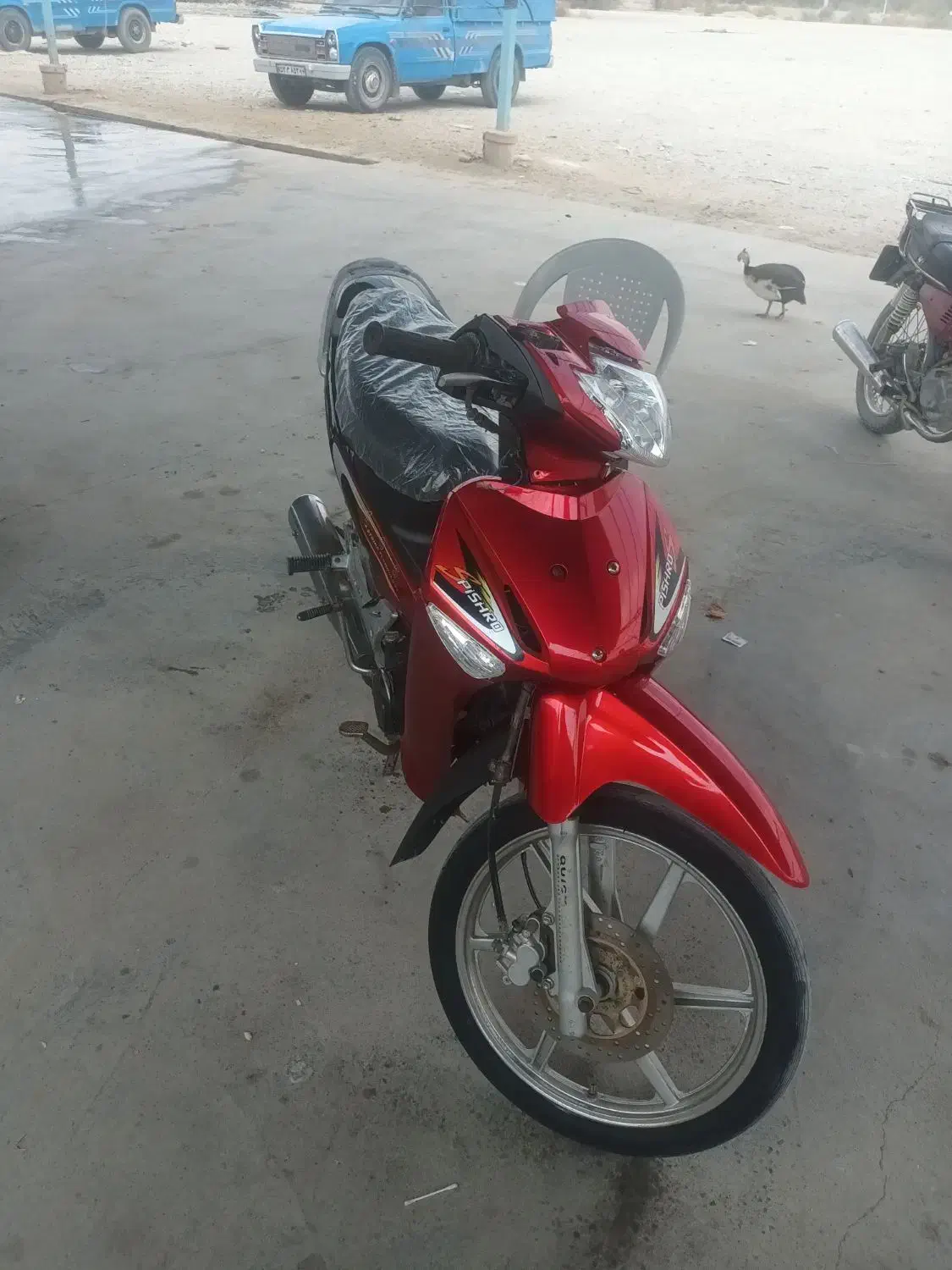 بیکلاچ|موتورسیکلت|میناب, |دیوار