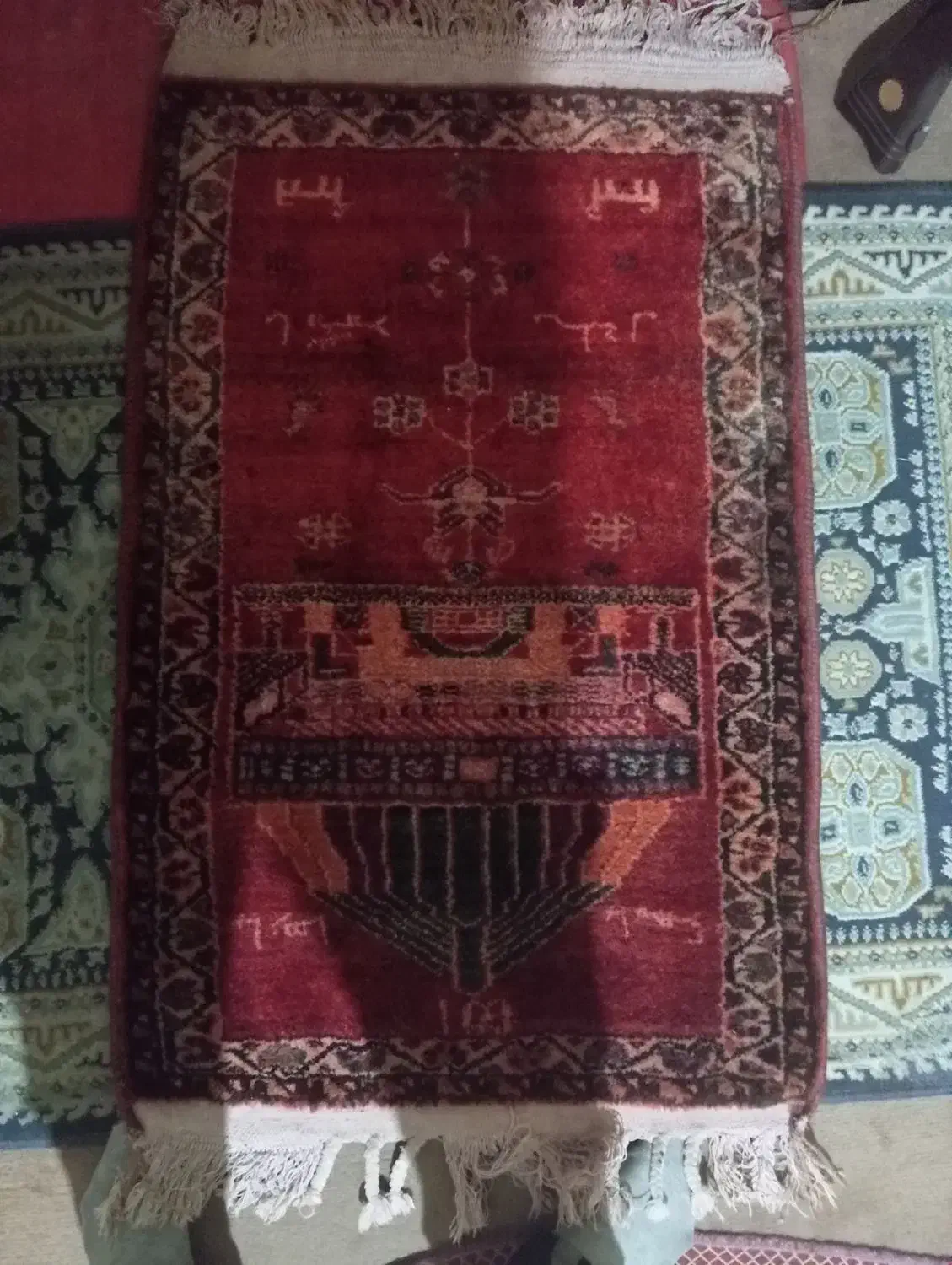 قالیچه ترکی با نام ائمه|فرش|شیراز, اصلاح‌نژاد|دیوار