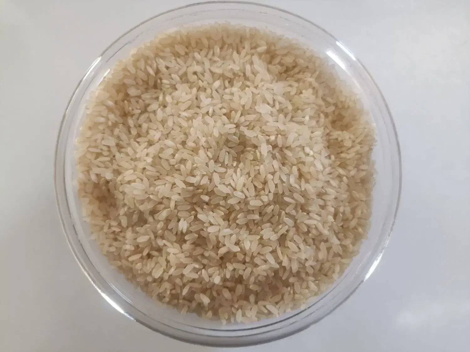 برنج کامفیروزی درجه یک|خوردنی و آشامیدنی|صدرا-فارس, فاز ۱|دیوار