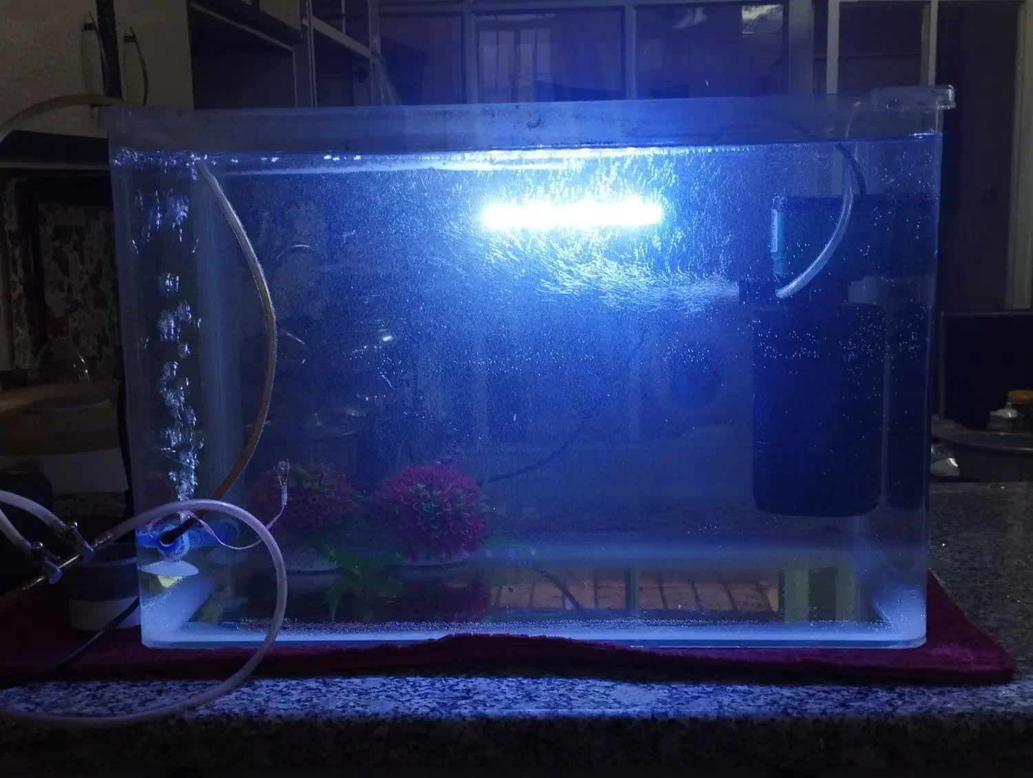 آکواریوم|ماهی|قم, یزدان‌شهر|دیوار