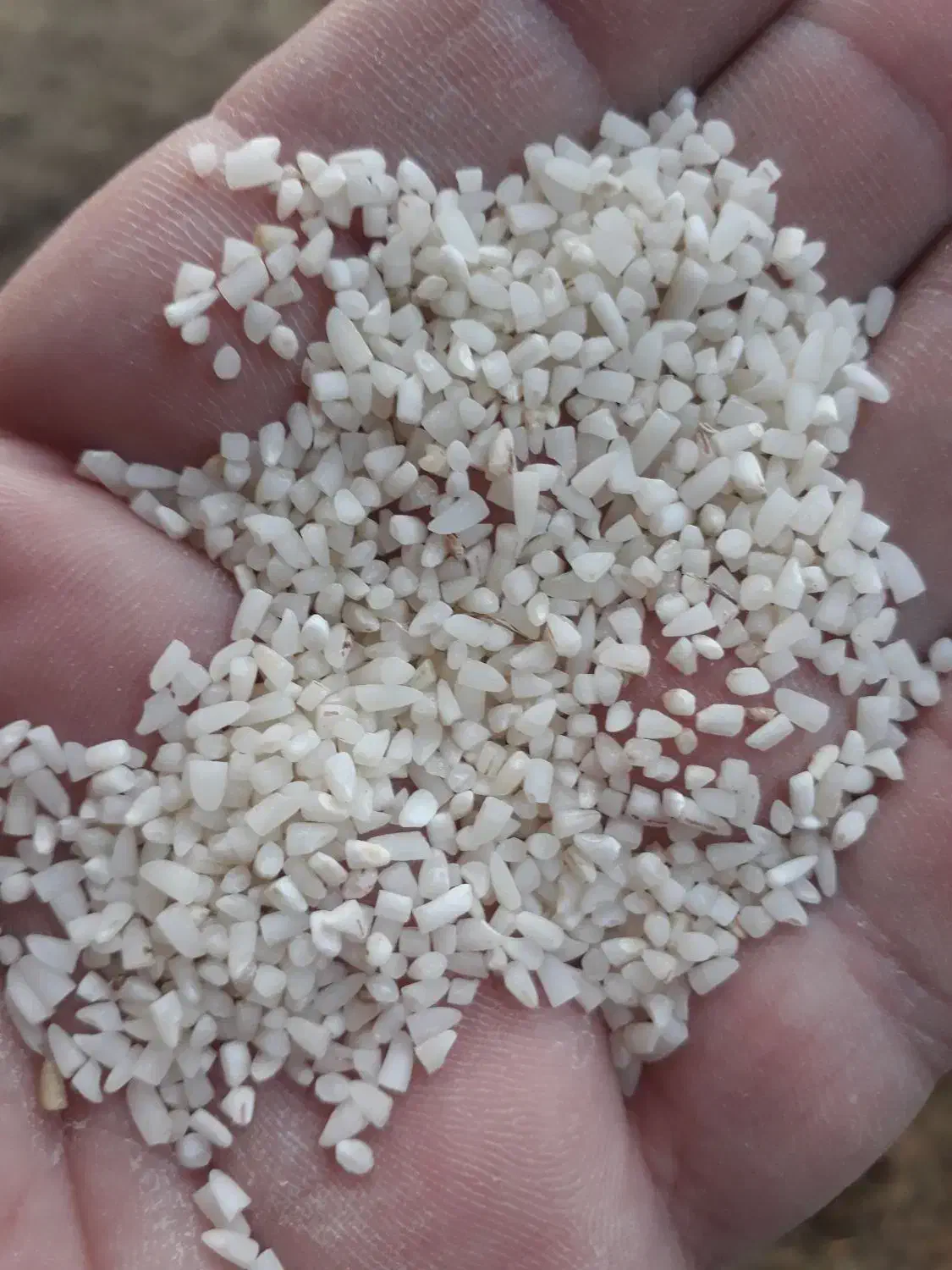 برنج نیمدانه هاشمی گیلان پاک شده و معطر با کیفیت|خوردنی و آشامیدنی|تهران, سازمان برنامه شمالی|دیوار