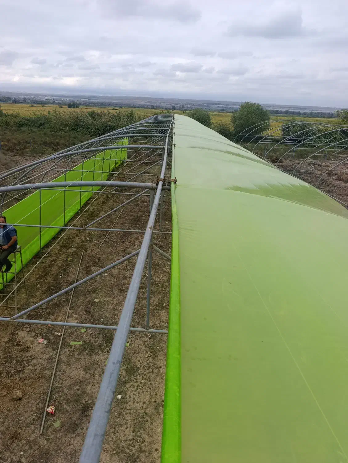 گلخانه|عمدهفروشی|اردبیل, |دیوار