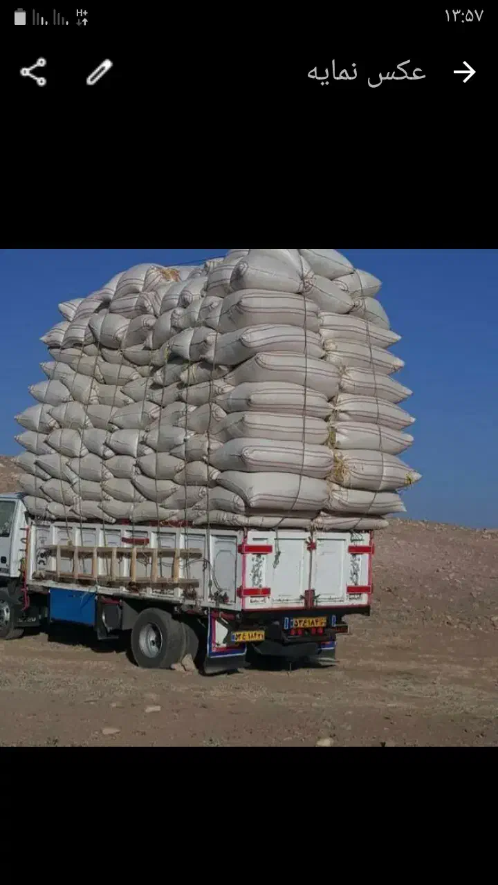 ارسال کاه نیشکر.وکاه سفیددرجه یک تحویل درب دامداری|لوازم جانبی حیوانات|داران, |دیوار