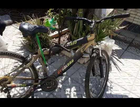 دوچرخه رد فاکس سایز ۲۸ هفت دنده.نونو.|دوچرخه، اسکیت، اسکوتر|شیراز, وحدت|دیوار