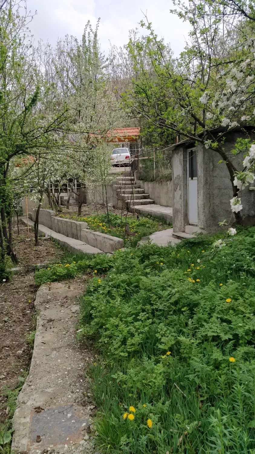 جاده چالوس باغچه داخل بافت با امکانات|فروش خانه و ویلا|آسارا, |دیوار