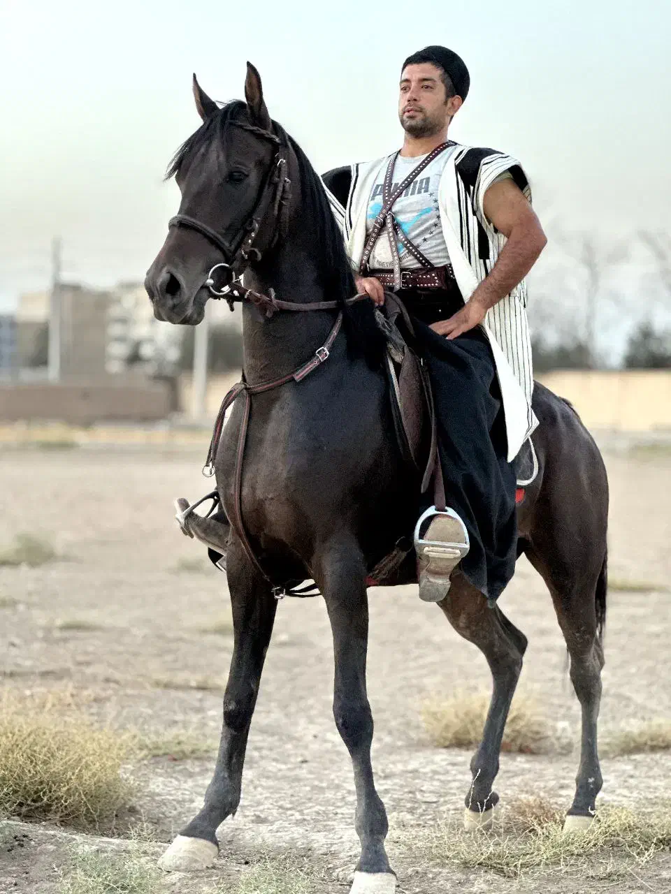 مادیون کرد|اسب و تجهیزات اسب‌سواری|ورامین, خیر آباد|دیوار