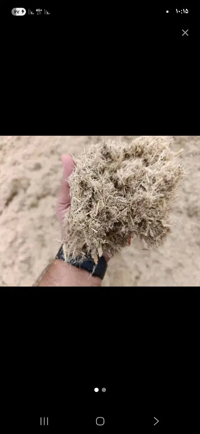 باگاس نیشکر خوزستان|عمده‌فروشی|کارون, |دیوار