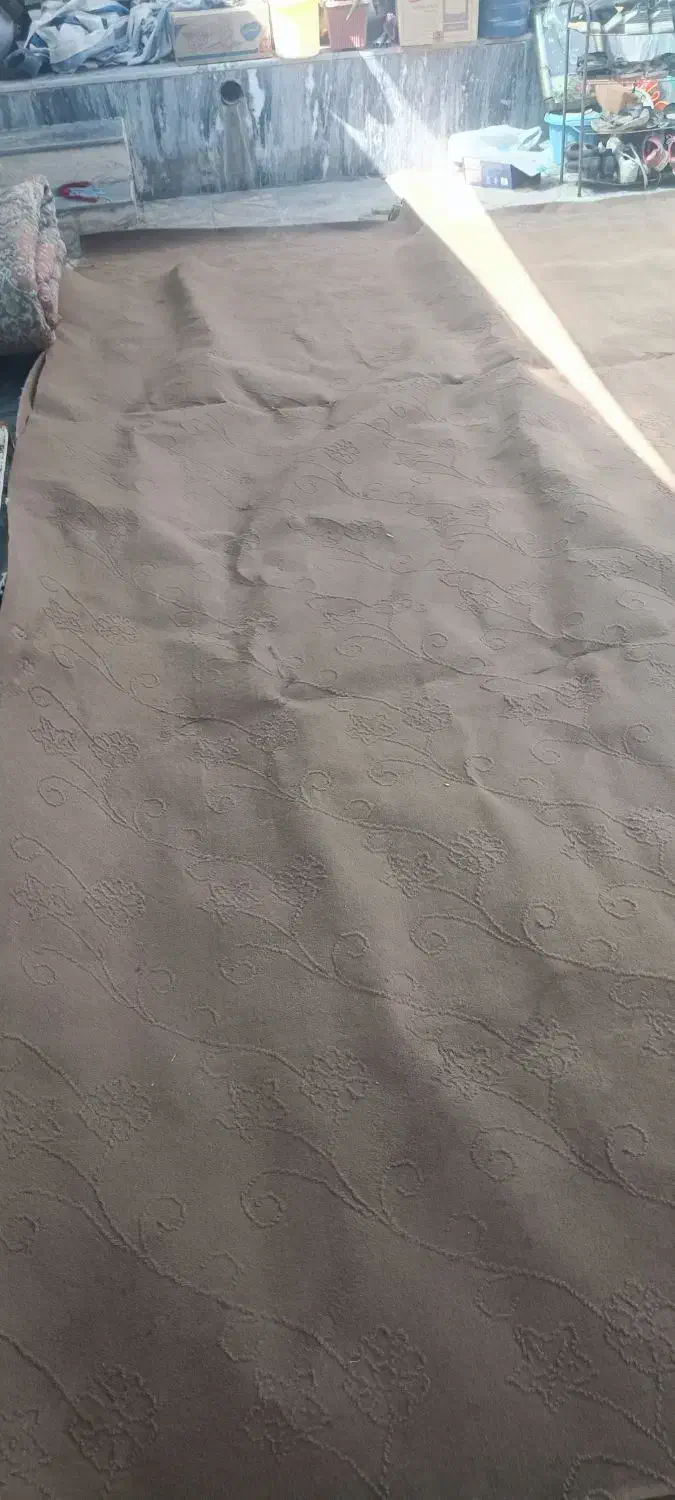 موکت|موکت|مرودشت, ژیان|دیوار