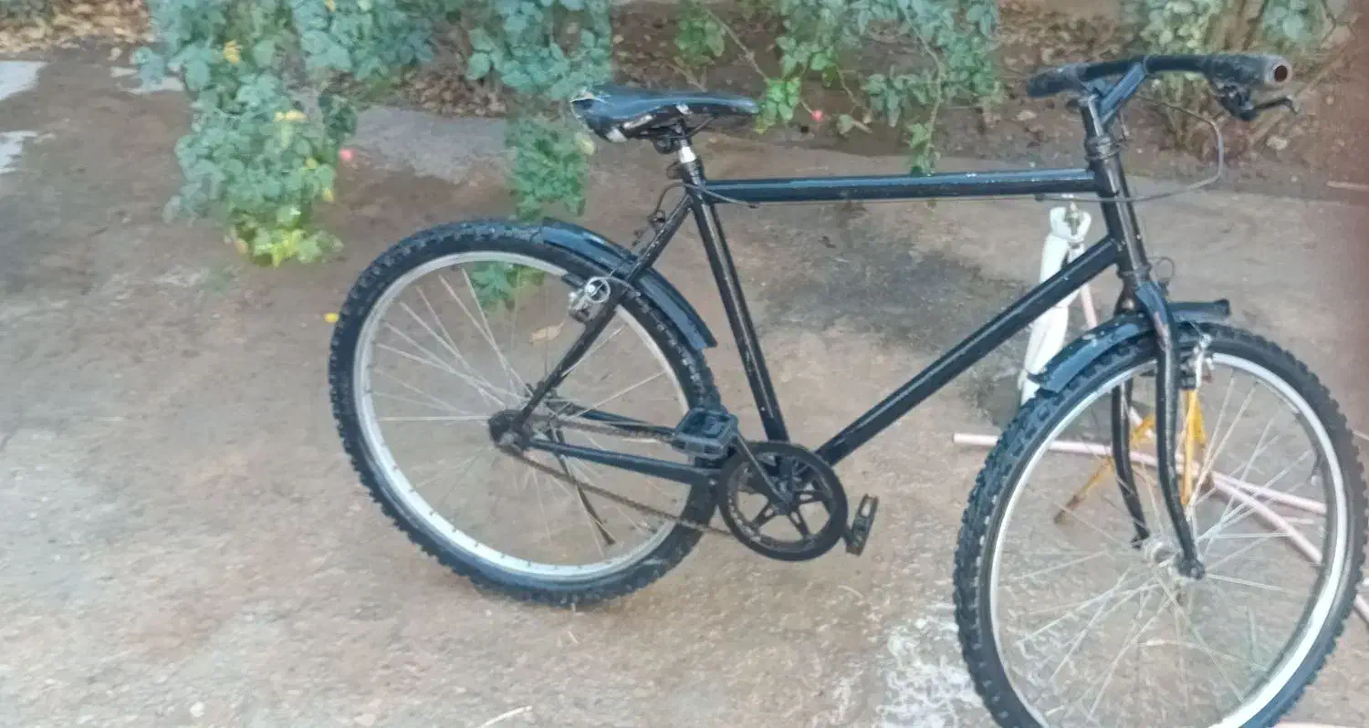 دوچرخه سالم آساک اصل|دوچرخه، اسکیت، اسکوتر|بجنورد, |دیوار