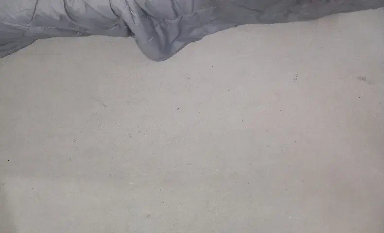 پالاز موکت|موکت|ری, ظهیرآباد|دیوار