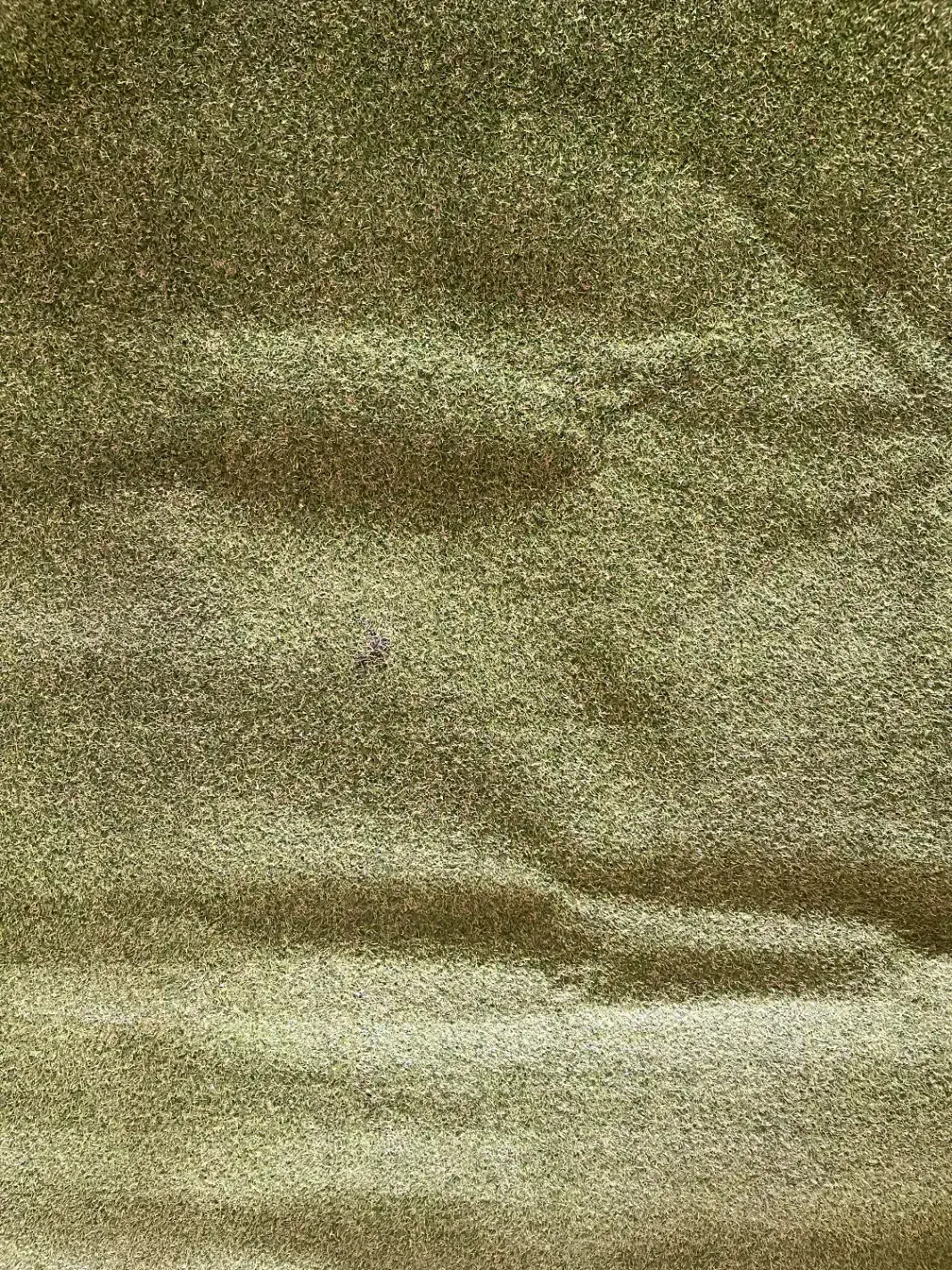 چمن مصنوعی|گل مصنوعی|اصفهان, جلفا|دیوار