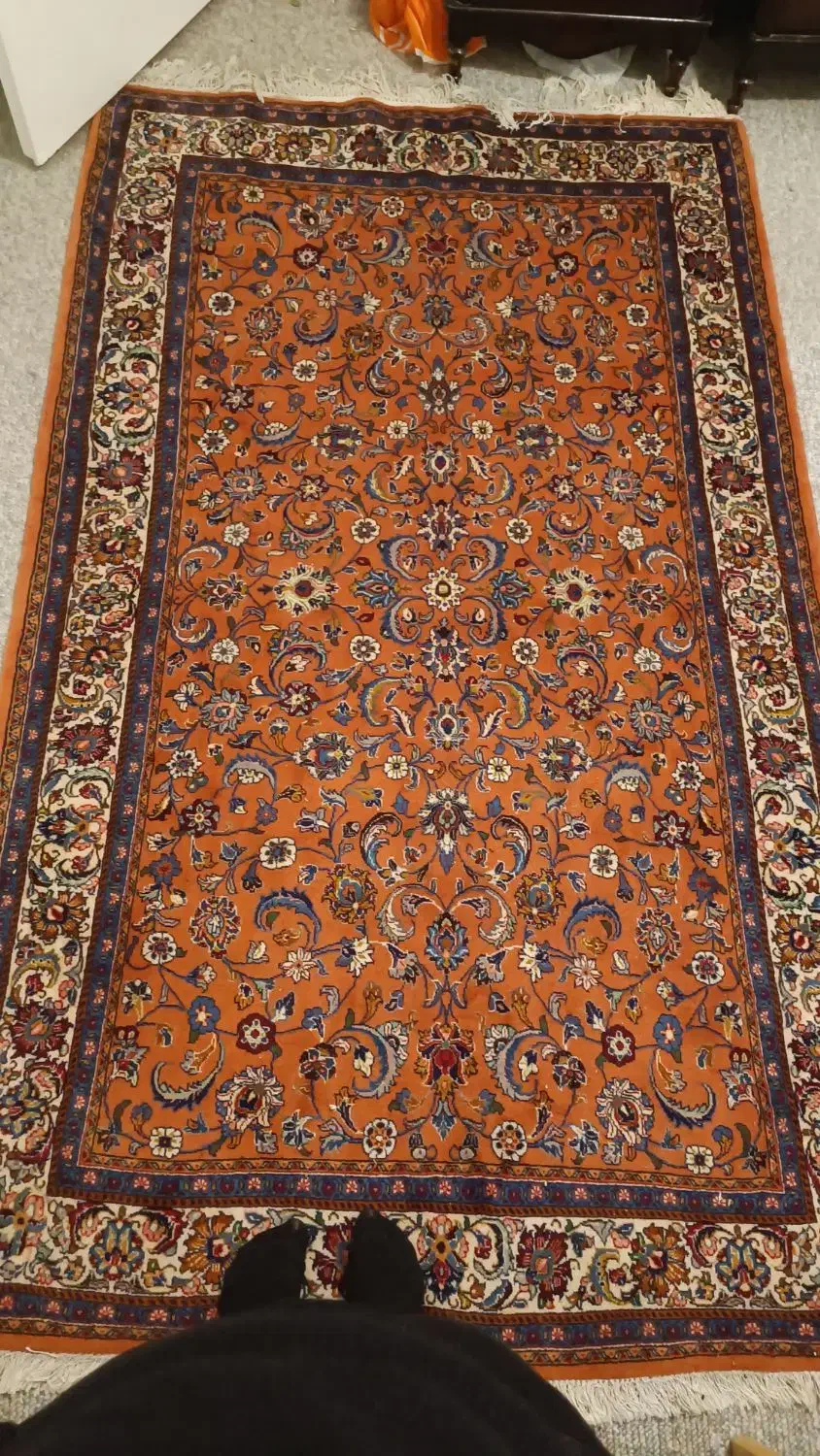 قالیچه دو زرع ساروق|فرش|همدان, |دیوار