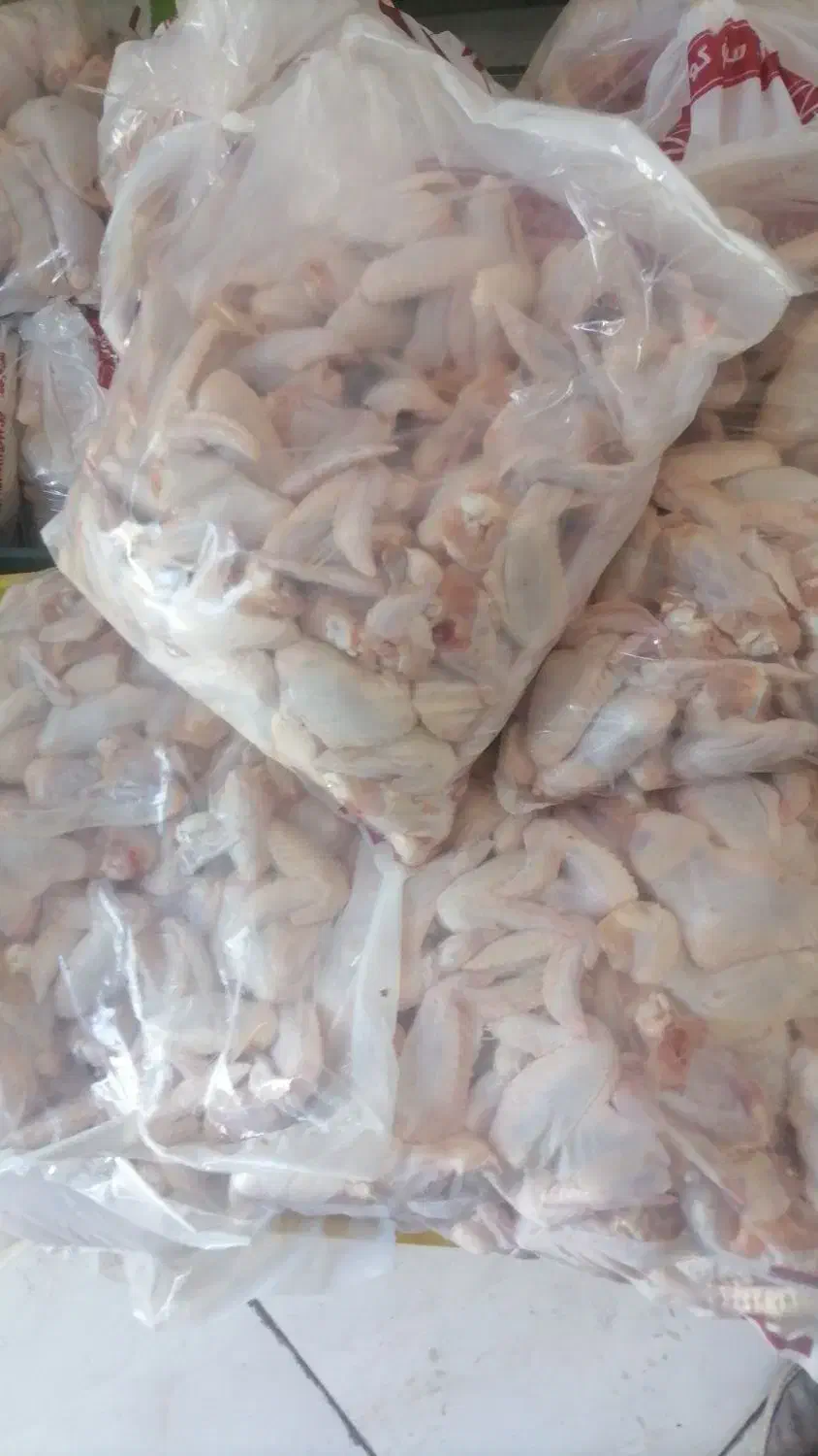 کتف بال تازشمال قیمت عمده ۱۵۷|خوردنی و آشامیدنی|قم, شهرک فاطمیه|دیوار