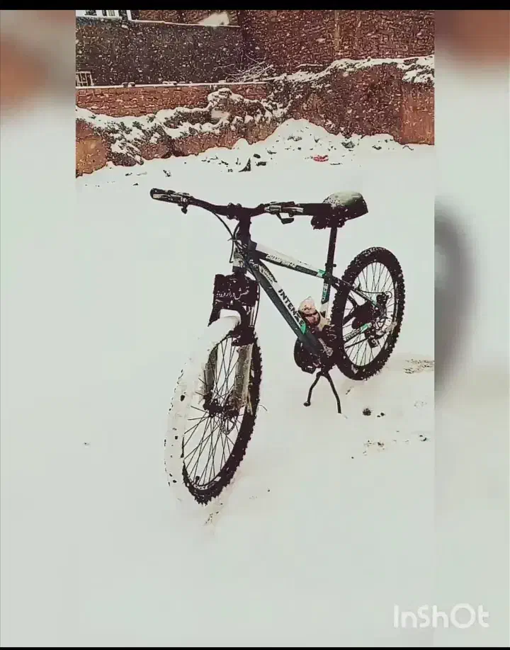 دوچرخه|دوچرخه، اسکیت، اسکوتر|بیرجند, |دیوار