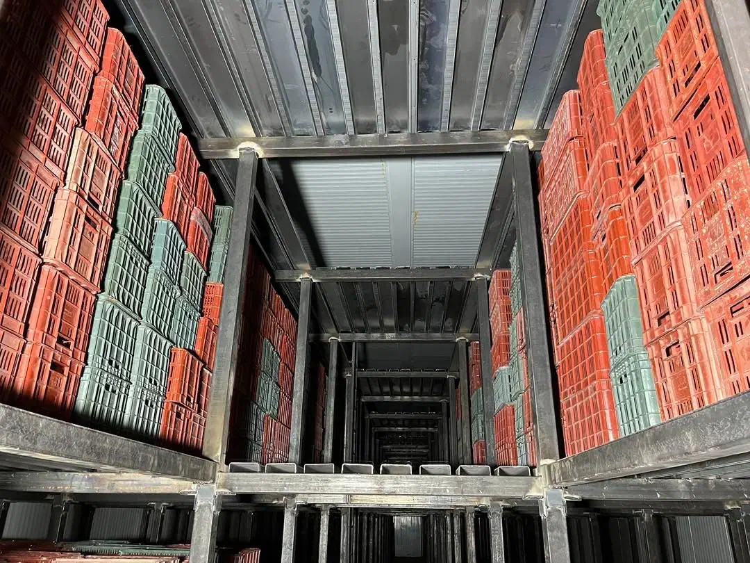 سبد پلاستیکی میوه|ظروف نگهدارنده، پلاستیکی، یکبارمصرف|نوشهر, |دیوار