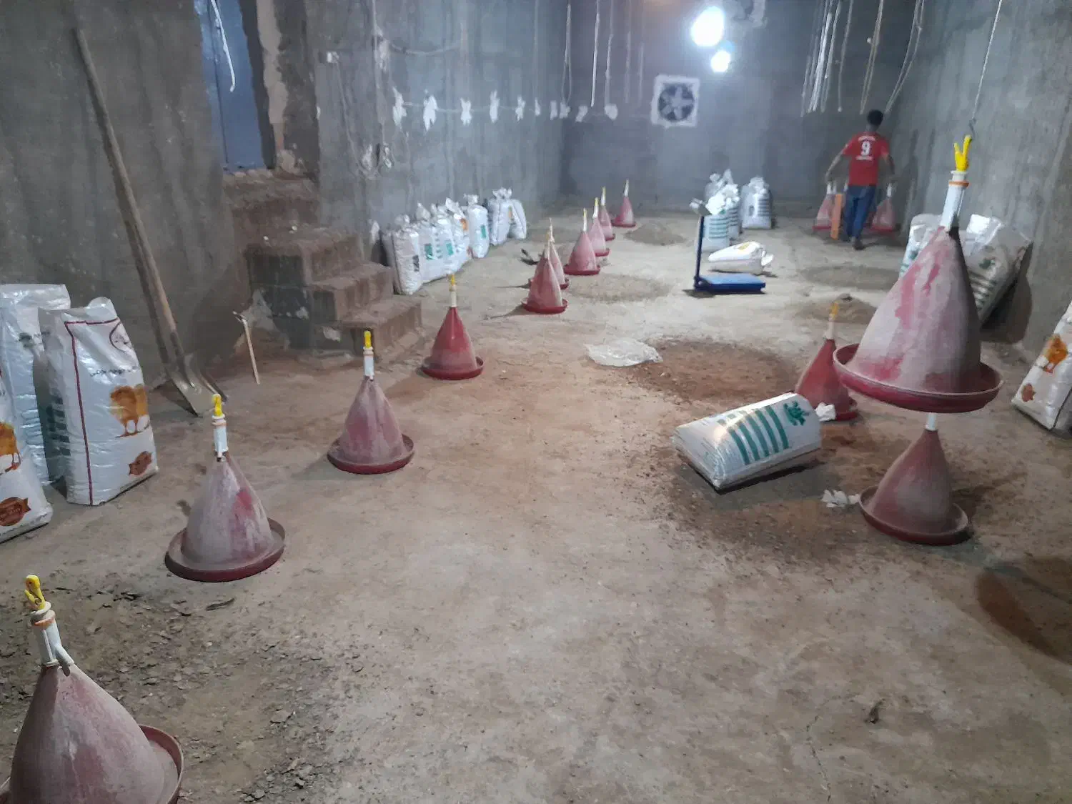 فروش کود مرغ|خدمات باغبانی و درختکاری|سوق, |دیوار