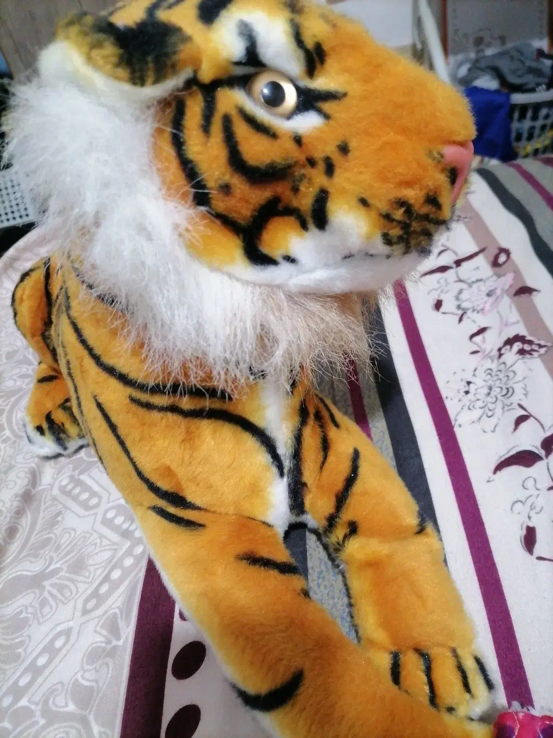 ببر|اسباب‌‌بازی|سپیدان, |دیوار