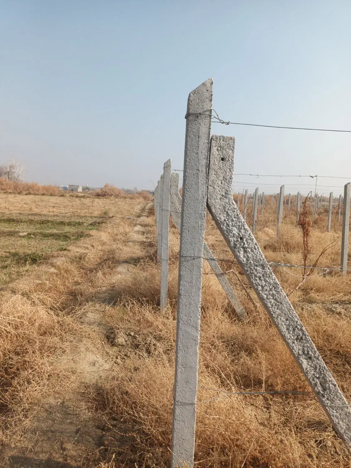 تیرچه باغی|مصالح و تجهیزات ساختمان|نوشین شهر, |دیوار