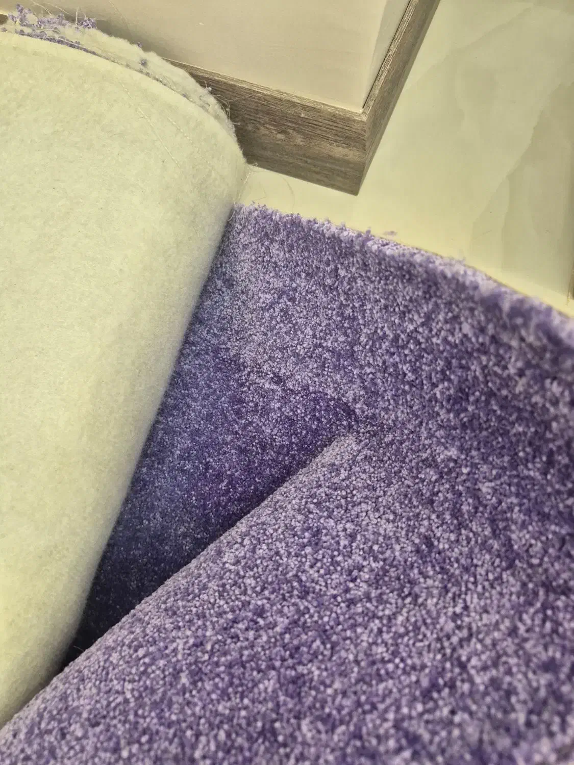 موکت پالاز ۹ متری|موکت|همدان, |دیوار