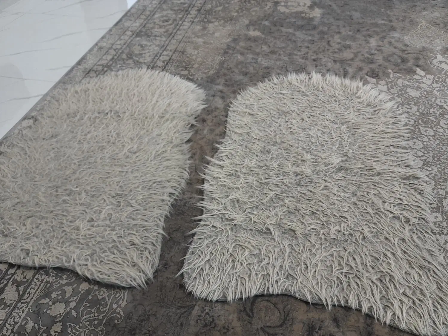 ۲عدد پادری در حدنو|پادری|تهران, اقدسیه|دیوار