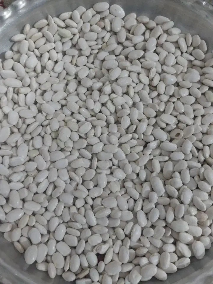 لوبیاسفید|خوردنی و آشامیدنی|کنگاور, |دیوار