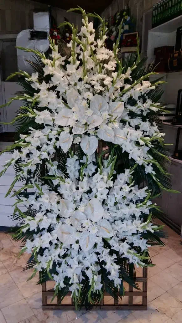 فروش و خدمات گل و گیاه|گل و گیاه طبیعی|مشهد, احمدآباد|دیوار