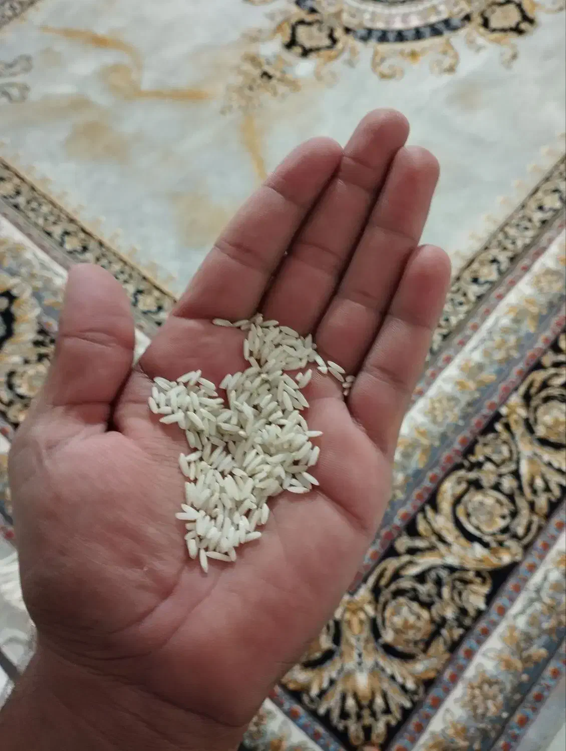 برنج محلی بروجرد|خوردنی و آشامیدنی|اصفهان, کوی امام|دیوار