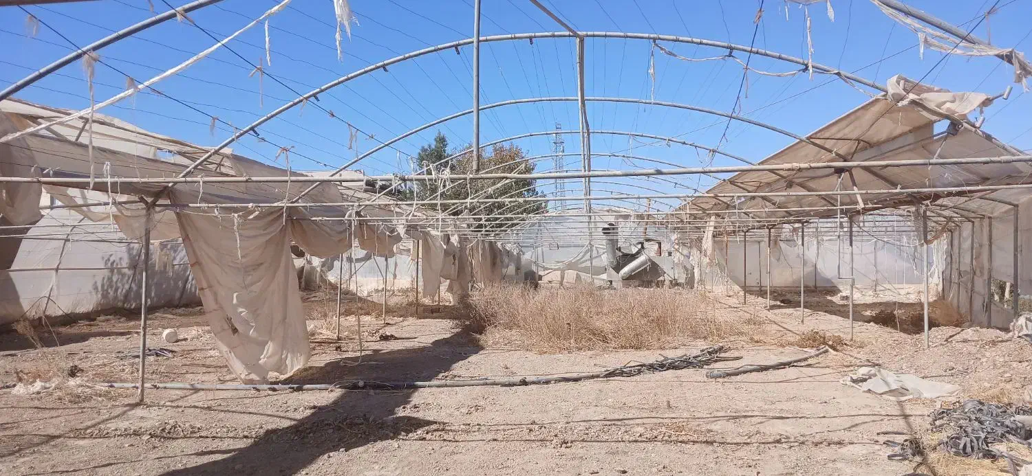 فروش سازه گلخانه|مصالح و تجهیزات ساختمان|مبارکه, |دیوار