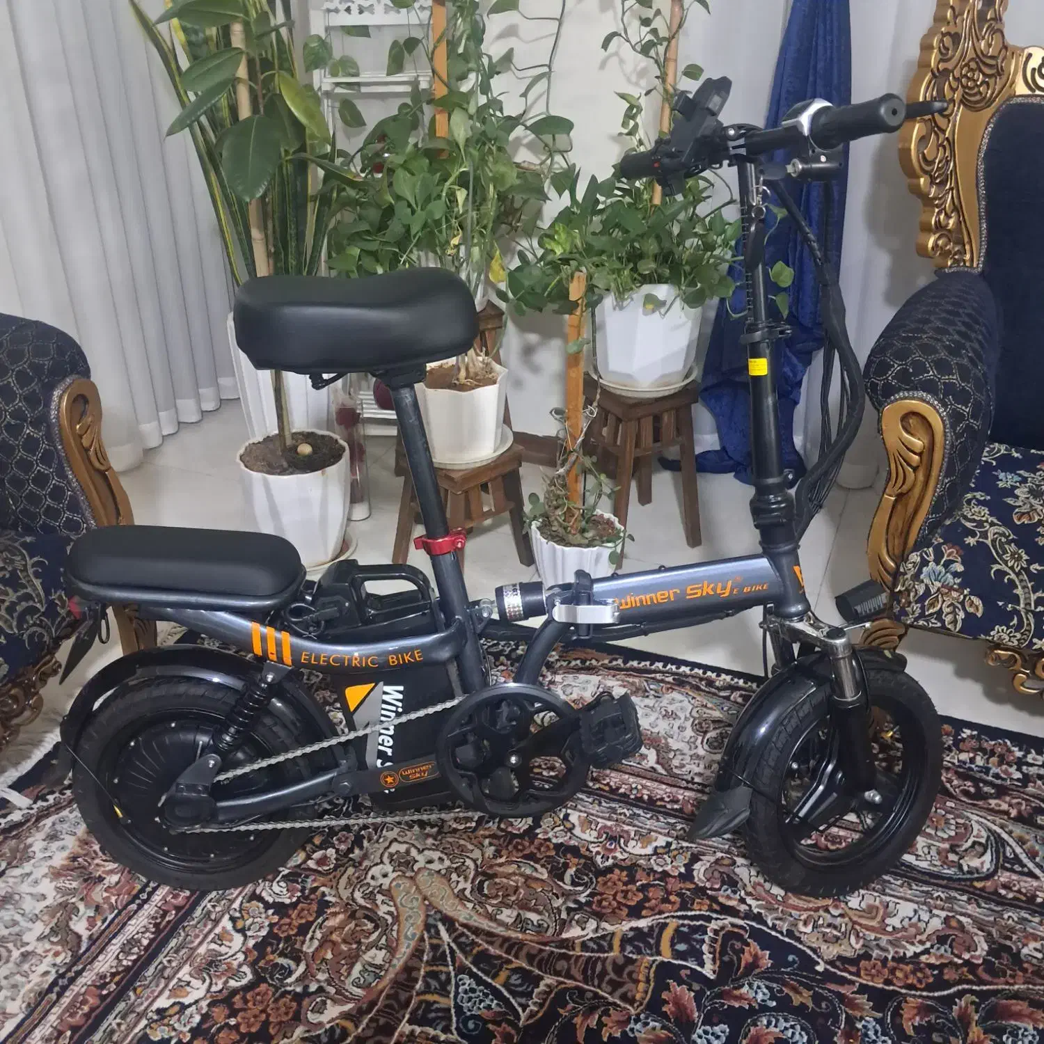 دوچرخه برقی دونفره تاشو( درحد آکبند)|دوچرخه، اسکیت، اسکوتر|اصفهان, شاه پسند|دیوار