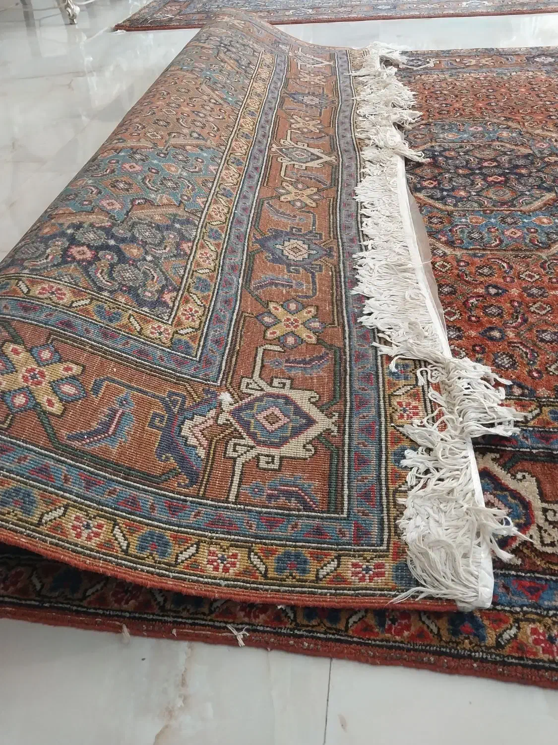 یک جفت فرش دست باف|فرش|اردبیل, |دیوار