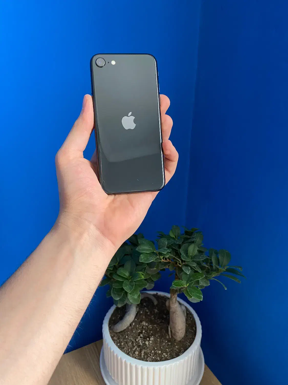 IPhone Se(2020)|موبایل|تبریز, |دیوار