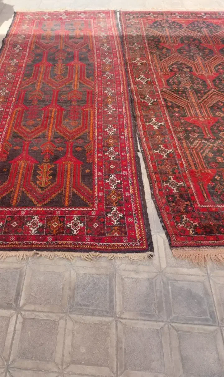 قالیچه دست بافت و6متری ماشینی|فرش|زاهدان, |دیوار