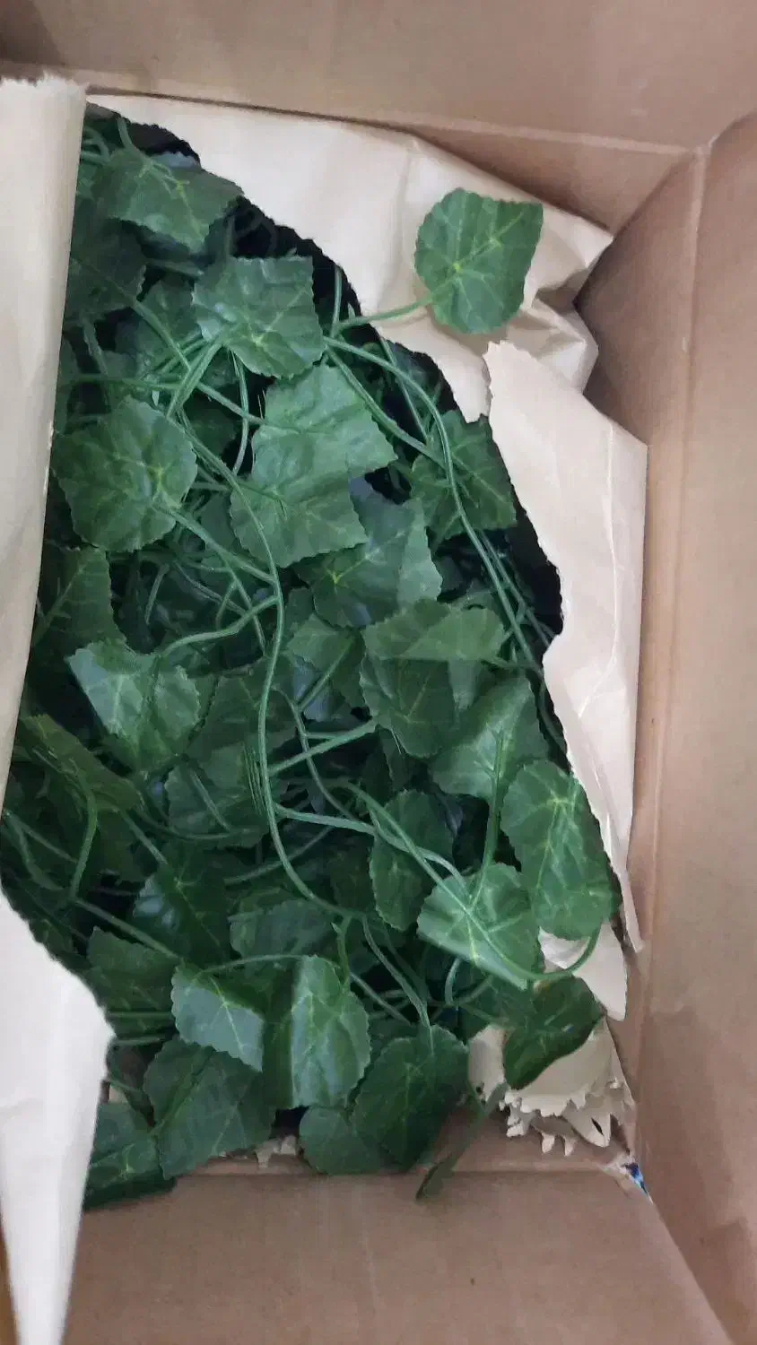 ریسه ، ریسه برگ|ریسه و چراغ تزئینی|اردکان, |دیوار